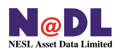 NADL Logo